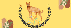 chodingodongduong.com